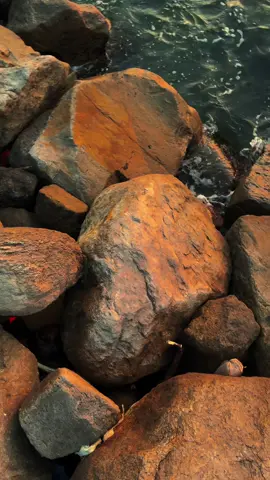 Titip pesan kalian disini >>