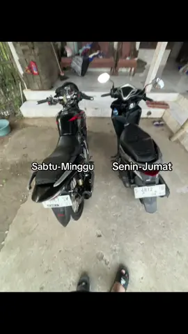 Poraa ngene bolo🤣🙏#tigergank #fyp #mojokerto24jam 