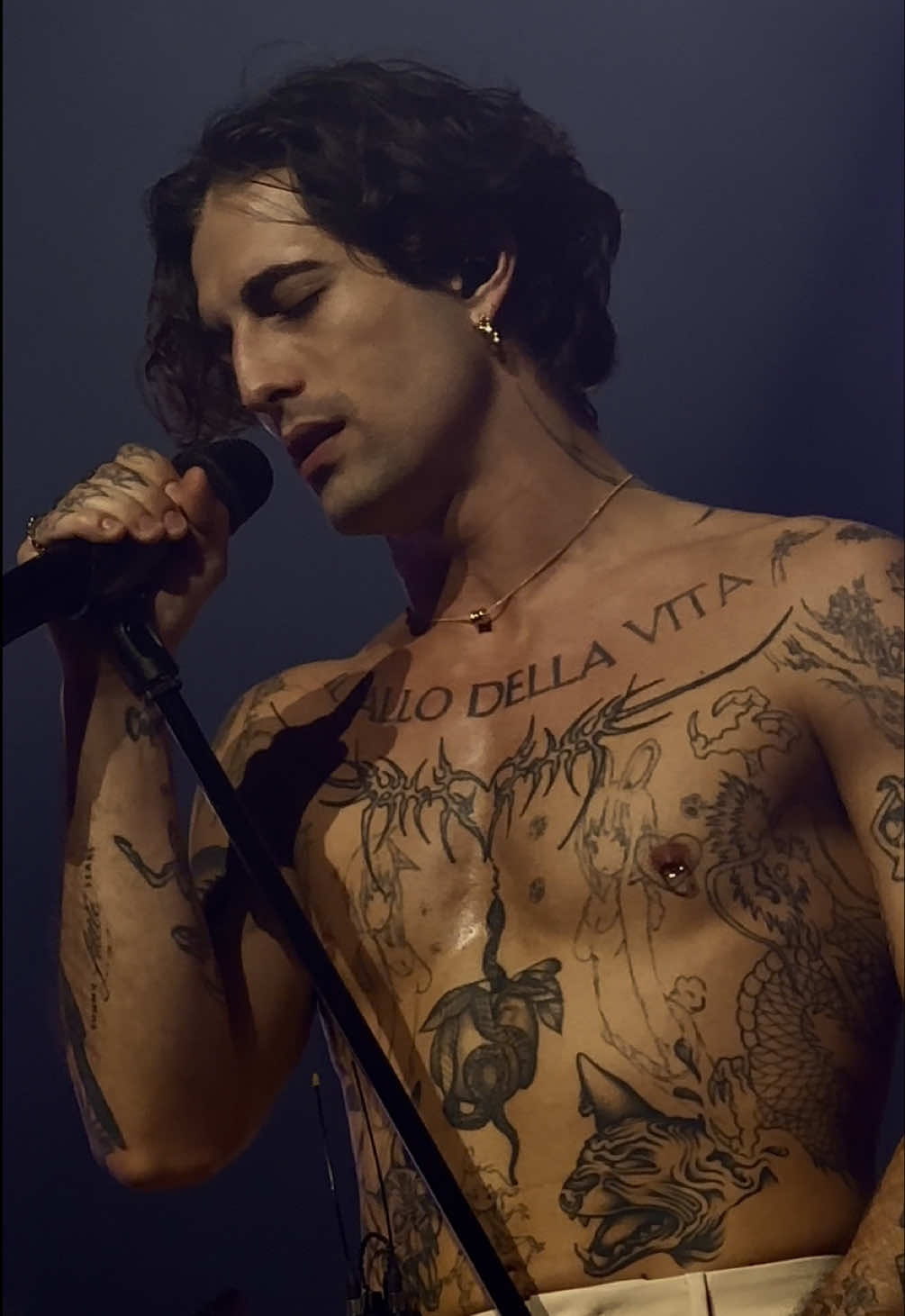 the man, the legend, sir Damiano David 🥹 @Damiano David  #damianodavid #maneskin #foryou #fyp #pourtoi 