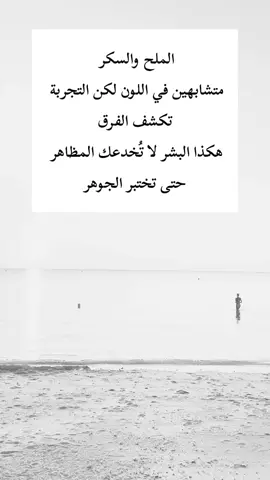 #اكسبلور 