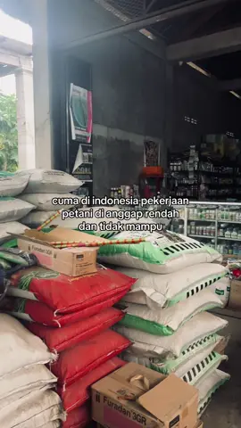 😢#petanimuda #petanimilenial #petanisukses #sumberrejeki #rementani 