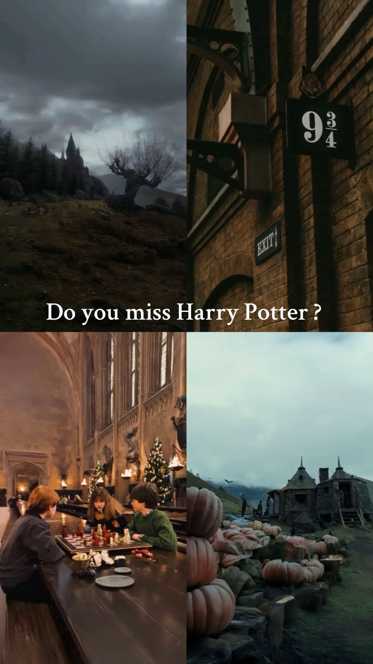 Fall in love all over again, with a new story ✨ #blakeheritage #wattpad #fantasybooktok #BookTok #wattpadstory 