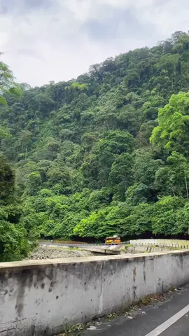 #fyppppppppppppppppppppppp #sumbartiktok #sumbarrancak #rayola #minangtiktok 