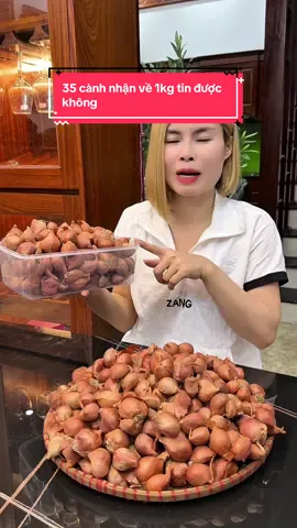 35 cành nhận về 1 cân có tin được không #xuhuong2025 #thinhhanh #hanhta #hanhtakinhmonhaiduong 