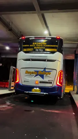 Ekonomi Premium Sugeng Rahayu 7043 surabaya purwokerto via madiun solo jogja pp #sugengrahayu #sumbergroup #sumberselamat #busjawatimuran #cinematicbus 