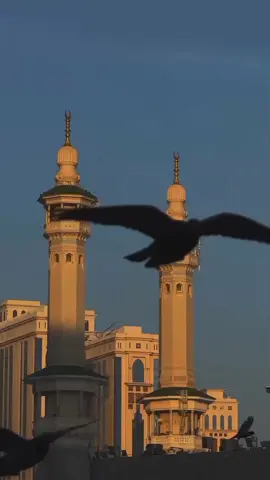 Mein tu panjtan ka gulam hon ❤️✨#islamic_video #unfreezemyacount #fyp #growmyaccount #videoviral 