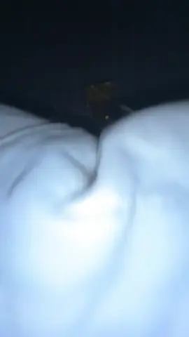 #cat #bahothuyet #music #fyp 