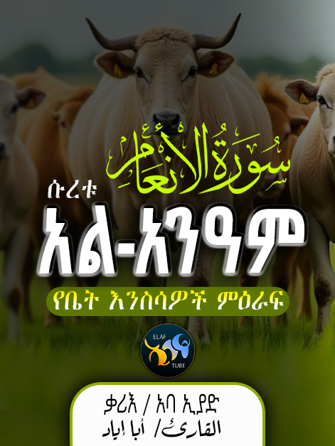 سورة الأنعام ሱረቱ አል-አንዓም#elaftube.official #elaftube_official