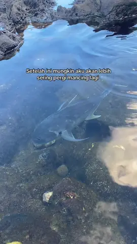 GT memang secandu itu #mancing #mancingstory #gianttrevally #shorejigging #fyp 