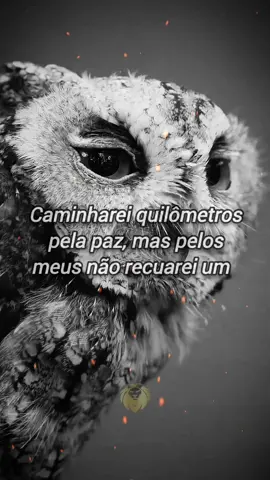 #statusvideo #reflexion #motivation 