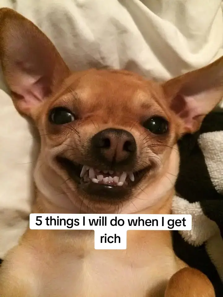 #fyp #goviral #trend 