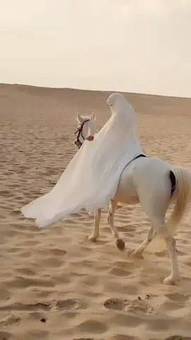#خيل_وخياله🐎 #explore 