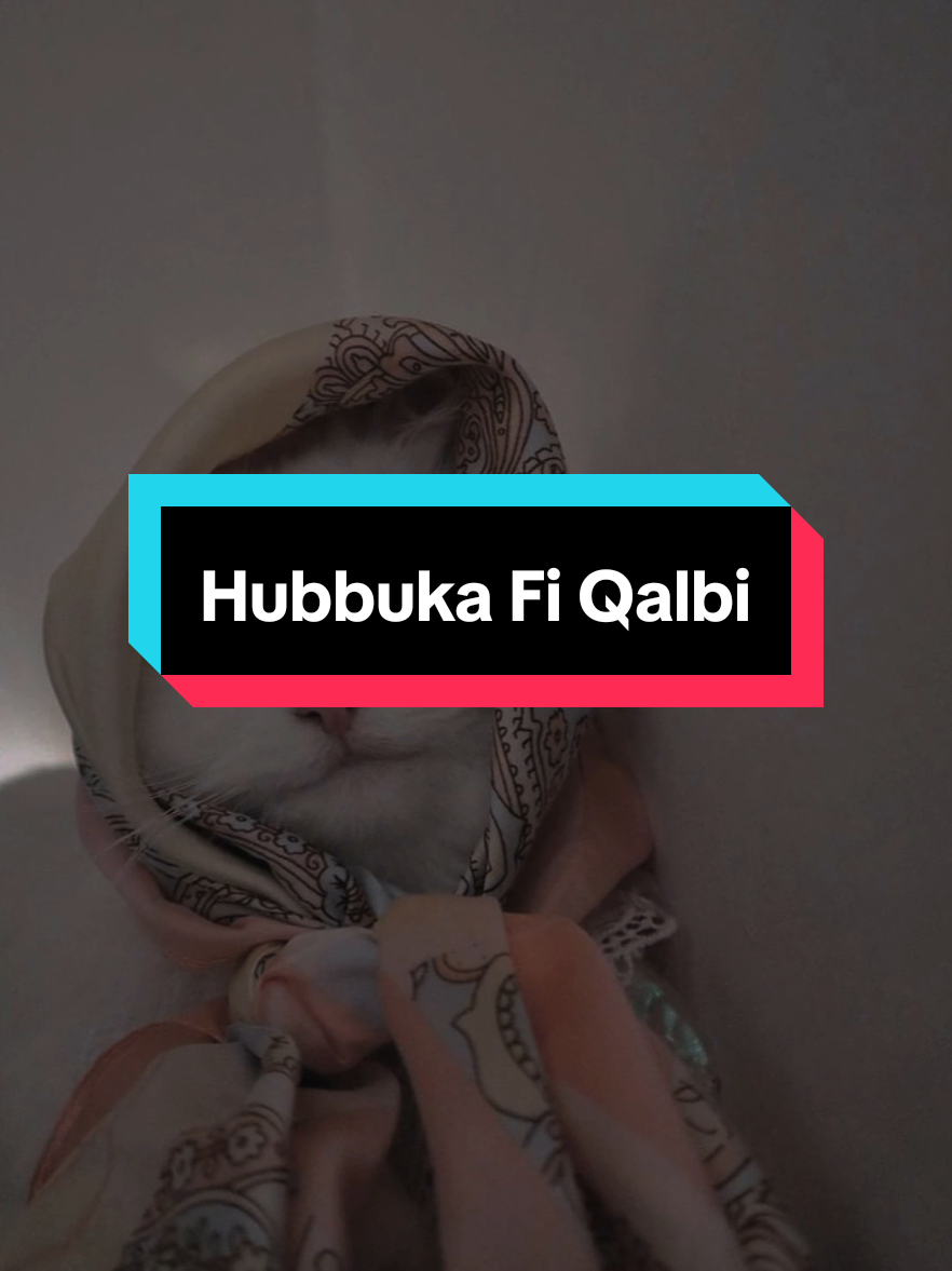 #CapCut Hatiku Memanggilmu Setiap Waktu 😗 | Hubbuka Fi Qalbi  #ikyypahlevii #slowremix #hubbukafiqalbi 