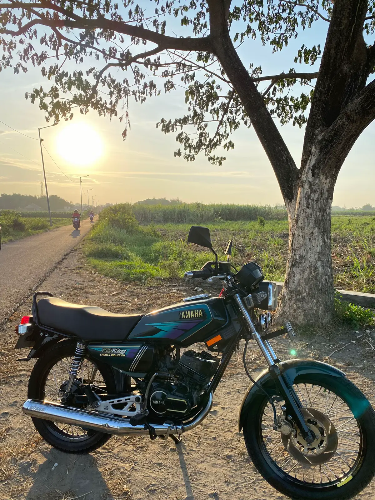 #stylepakguru #pakgurustyle #rxking #rxkingmaster 