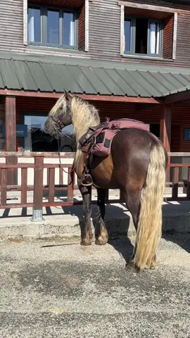 N’est il pas incroyable ? 🥹 Kjörn 😍