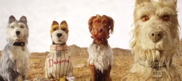 น้องไม่ได้ตัวสีดำด้วยซ้ำแม่ง💔 #sparks #edit #ฟีด #dog #bite 