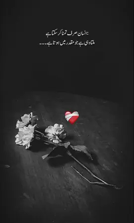 💯 #fypシ゚viral🖤tiktok☆♡🦋 