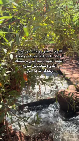 آمين يا رب 🤍 #صدقه_جاريه #fyp #foryou 