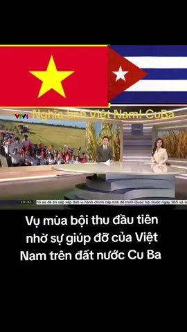 Đoàn kết với Cuba xuất phát từ trái tim và trong suy nghĩ của mỗi người Việt Nam 