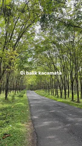 “Arah sang cinta dan balasannya-@JKT48” #arahsangcintadanbalasannya #arahsangcintadanbalasannyajkt48 #lirikjkt48 #jkt48 #fyp 