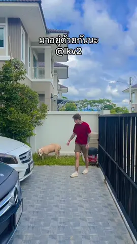 มาอยู่ด้วยกันนะ #หนิงอรพรรณ #ฟีดดดシ 