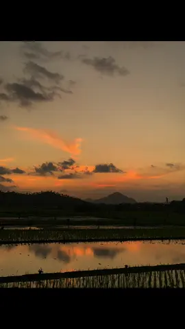 _الحب الجميل الحب الذي لا يجتمع لكن يفتقد بعضنا البعض_ “cinta yang indah itu adalah cinta yang tidak ada pertemuan, namun saling merindukan” #sholawatbanjari #banjari #annawawi #ajmaldzikro #viral 