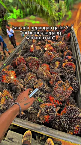 Emang nya aku gudang duit#fyp 