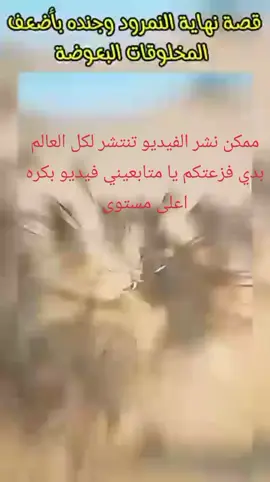 ممكن اشتراك الفيديو والنشر الفيديو من اللايكات يا متابعيني