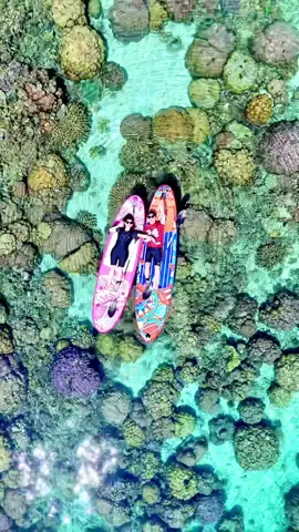 Promo oktober  250/pax Trip 2 pulau 📍kodingareng keke 📍samalona Dokuemntasi perorangan (setiap orang) Include  1. Perahu PP pulau  2. Life jaket  3. Alat snorkeling  4. Fin 5. Sepatu karet  6. Makan siang  7. Air mineral  8. Gazebo  9. Tiket masuk pulau  10. Paddle/kano bening  11. Dokumentasi drone #makassarhits #bugistiktok #kodingarengkekeisland #samalonaisland #fyp 