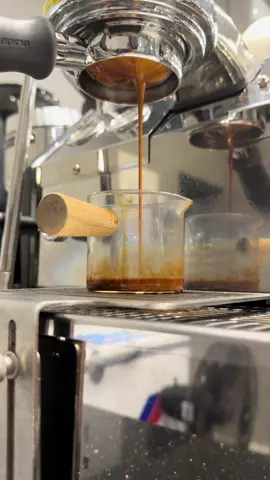 Robusta degas 8 ngày #TLABCOFFEE 