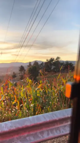 #amanecer#bonitopaisaje❤️#amanecerbonito🌅#buenosdias