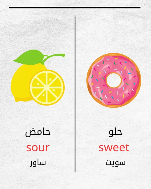#تعلم_الانجليزية #انجليزي #تعلم_اللغة_الانجليزية #الانحليزيةللمبتدئين 