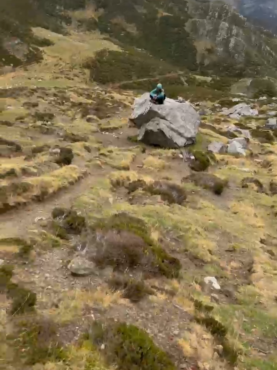 Encontré a Shakra en el Torres #hollowknight #silksong #shakra  @MONI🌻 