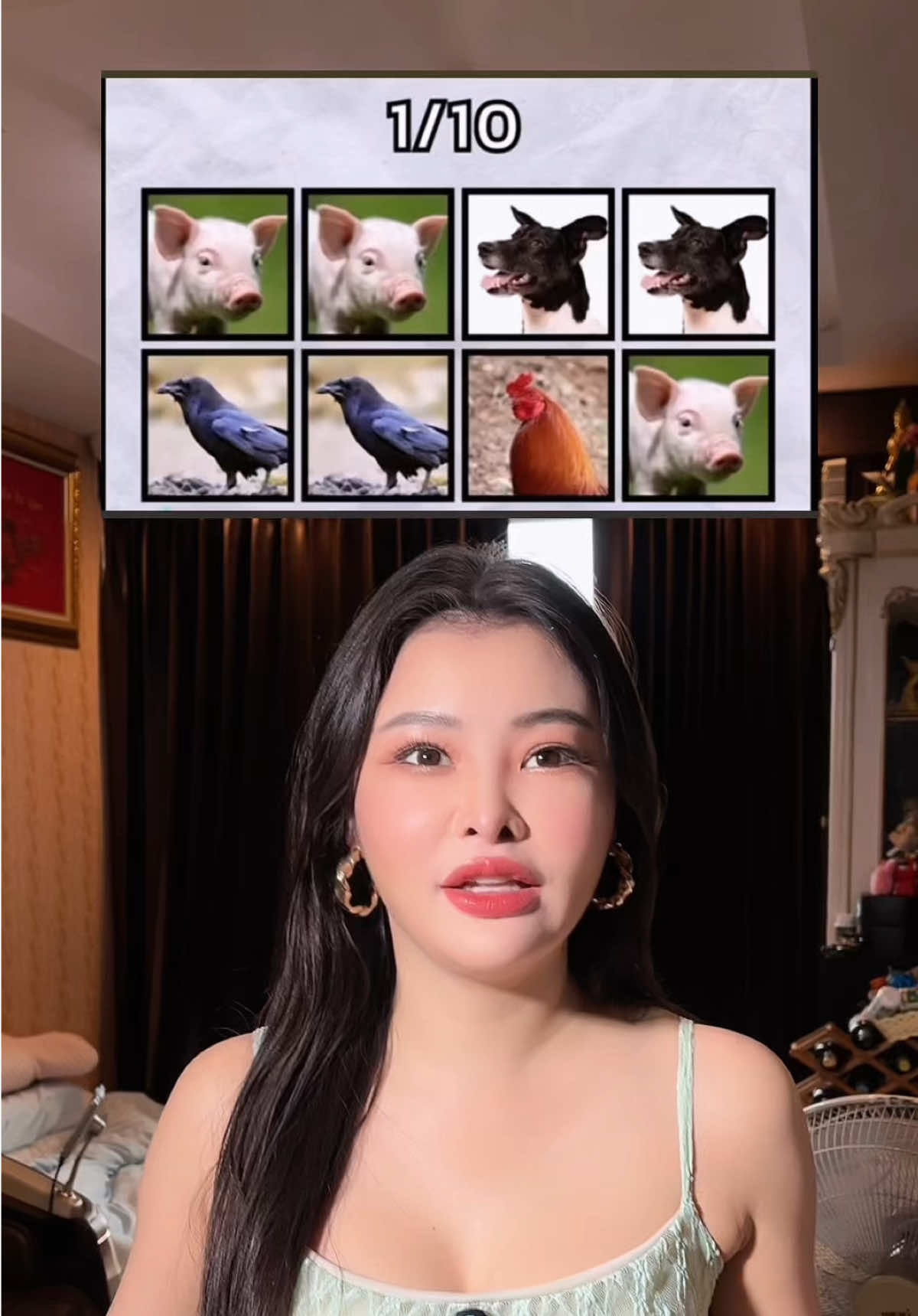 10 เต็ม 10  ไม่ใช่เรื่องยากสำหรับลี่!! #หมูหมากาไก่ #ลิลลี่เหงียน #ลินลี่ #lilly #เทรนวันนี้ 