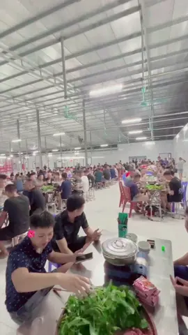 Chào mừng anh em đã đến với trường gà sopbao. Lại chuẩn bị đón một tuần mới cùng anh em 😍#truonggasopbao #sopbao #gachoivietnam #gachoic1 