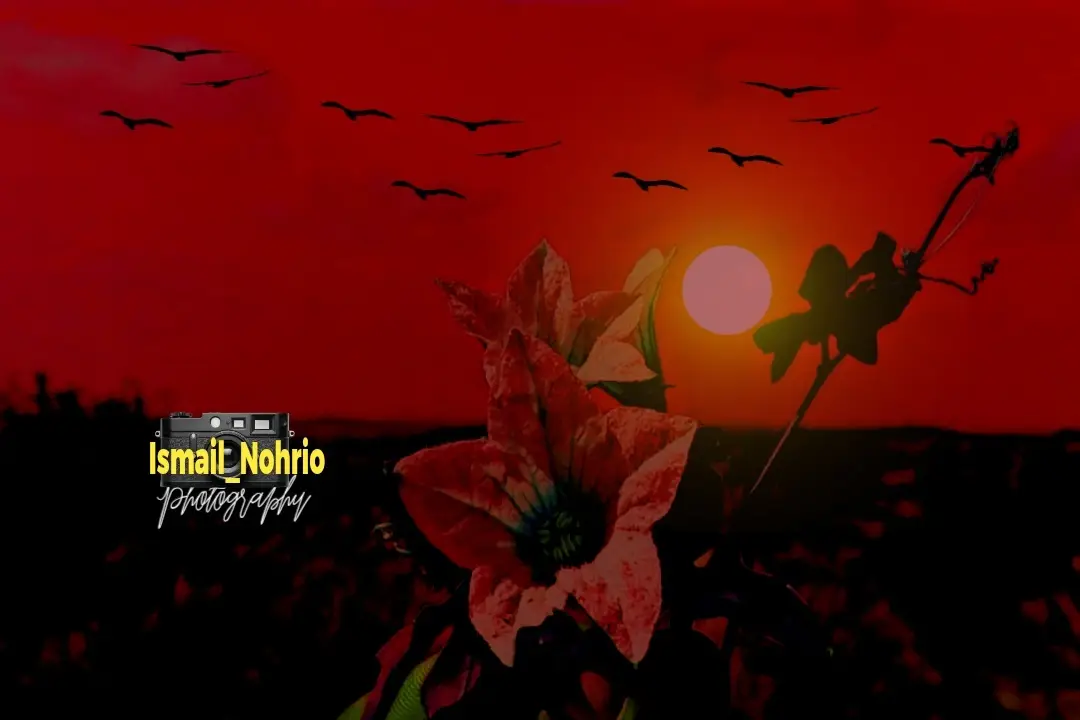 📸 Photography tips: #تڏهن_ملنداسين____🥀 #ٿرپارڪر_جو_خوبصورت_منظر #📸 #isمil_nohrio #creatorsearchinsight 