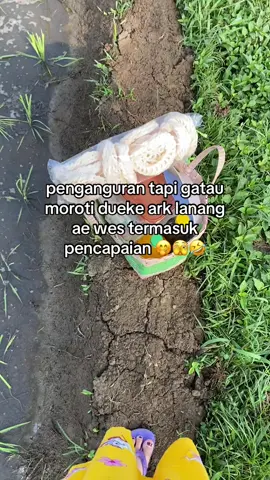 🤭pencapaian tnn#foryou #petanimuda 