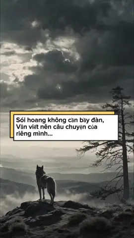 Sói Hoang – Bản Lĩnh Không Cần Bầy Đàn. Thà là một con sói hoang, tự do giữa gió bão, còn hơn là kẻ ngoan ngoãn bị xiềng xích. Sói hoang không cần bầy đàn – vẫn viết nên câu chuyện của riêng mình. #SoiHoang #BanLinhSong #TuDoVaCoDoc #SongKhacBiet #KhongCanBayDan