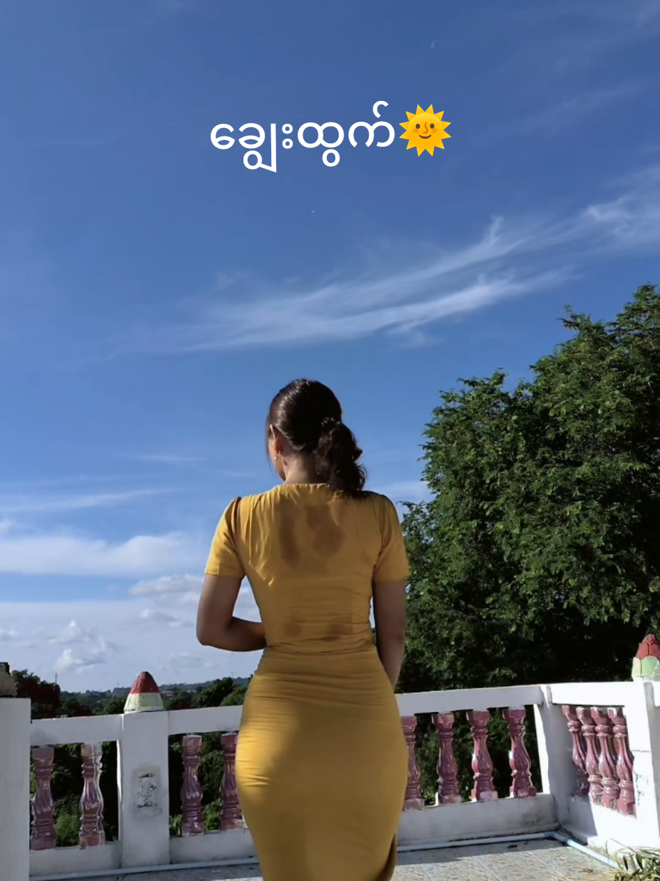 အလှမ်းဝေးတဲ့ ပန်းကလေးမြနှင်းဆီ #🌻 #fly 