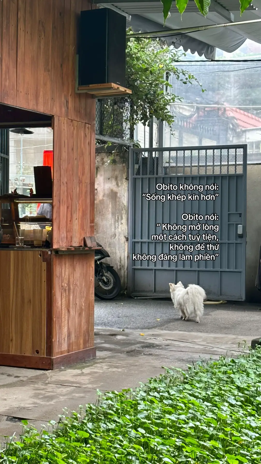 #xh #viral #tamtrang #thaotungtamly #obito 