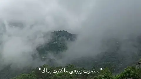 #قران_كريم #اجر_لي_ولكم_ولوالدينا_وللمسلمين #راحه_نفسيه #اكتب_شي_توجر_عليه 