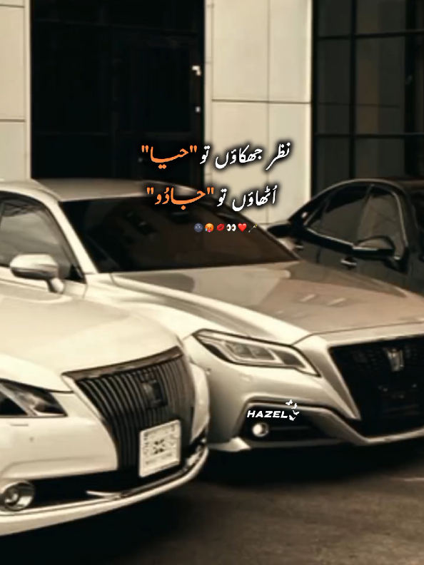 وہ ہونٹ، بال، رخسار ،تل وغیرہ کیسے دیکھے گا ،جو فقط آنکھیں دیکھ لے میری تو مرنے لگتا ہے 😉🌚🔥#hazel_873 #goviral #foryou #foryoupage 