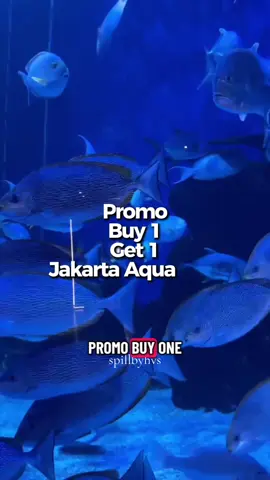 Jangan skip video ini yaaa .. JAKARTA AQUARIUM , lebih hemat !! , karena lagi ada promo menarik dari tiktok !! BEST DEAL BANGET #fyp #fypage #bxsea #jakartaaquarium #liburankeluarga #liburan #ideliburan #promojakartaaquarium #winkofwinner #jakartaaquariumsafari 