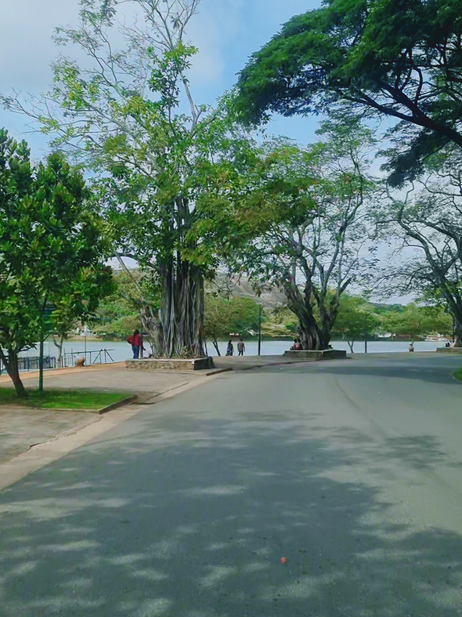 මතක පිරුනු රන්තාලිය වැව😍😍😍😍 #100kviews #trending #viral #2025 #kurunegala 