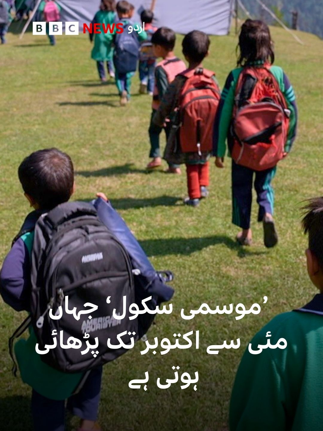 جیسے ہی ہمالیہ کی ڈھلوانوں سے برف پگھلتی ہے، موسمی سکول کے اساتذہ اپنے دن کا آغاز طلوعِ آفتاب سے پہلے کرتے ہیں۔ وہ گھنے جنگلوں میں گھنٹوں پیدل سفر کرتے ہیں تاکہ وہ ایک پہاڑ پر بنے عارضی خیمے تک پہنچ سکیں اور بچوں کے ایک چھوٹے سے گروپ کو پڑھا سکیں۔ ان کلاس رومز کی کوئی دیوار نہیں ہے اور طلبا کو عارضی خیموں کے اندر پڑھایا جاتا ہے۔ انڈیا کے زیرِانتظام کشمیر کے ’موسمی سکول‘ کیا ہیں؟  رپورٹ: بسمہ فاروق فلمنگ و ایڈیٹنگ : شفاعت فاروق #seasonalschools #kashmir #bbcurdu