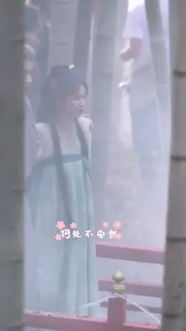 A Ly #白鹿 #bailu #macly 