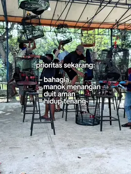 #muraibatu #muraibatuindonesia #fyp #fyppppppppppppppppppppppp #lombaburung 
