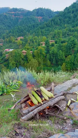 Da Watan khukly Mazigary ⛰️☕️🌽              #tirahvalley #foryoupage #watan #viralvideo #shahab_afridi313 