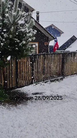 #primaveraenlapatagonia  #coyhaique2025  #nieve 