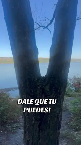 #dalequetupuedes 